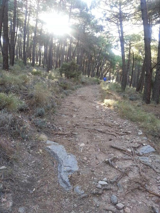 Cortijo de Balsain Green Peaks B&B Country House Alojamiento Rural מראה חיצוני תמונה