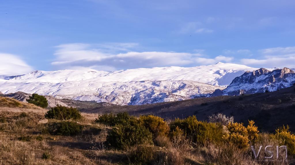 Cortijo de Balsain Green Peaks B&B Country House Alojamiento Rural מראה חיצוני תמונה